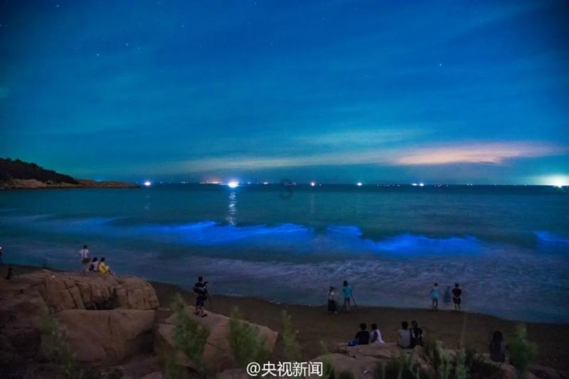 召唤神龙万宁版祖龙