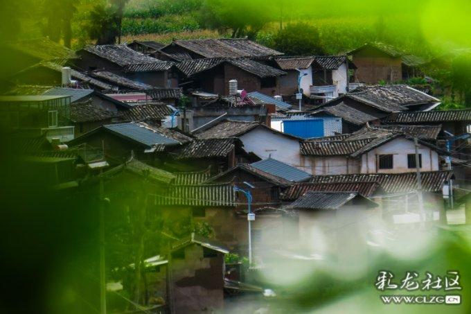 我年龄看起来像多大的？游戏画面