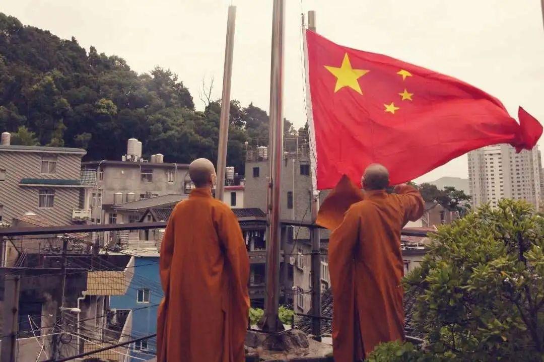 营救小猫头鹰