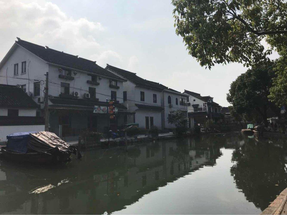 动物记忆大翻牌
